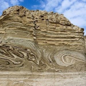 Meet your Posher, Ed